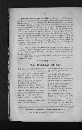 Die Eintags-Fliege.