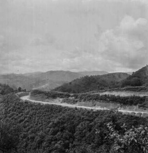 Straßenpanorama : Die Straße durchschneidet die Berglandschaft der Nebelwaldregion