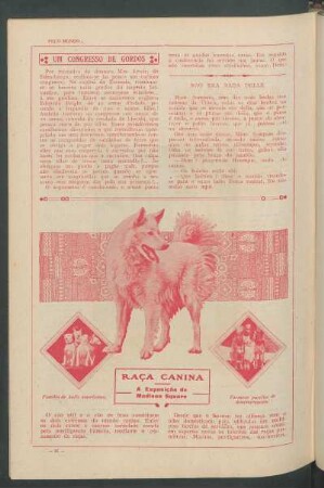 Raça canina : A exposição de Madison Square
