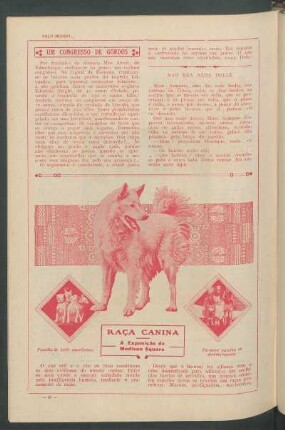 Raça canina : A exposição de Madison Square