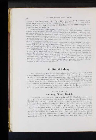 III. Entwickelung.