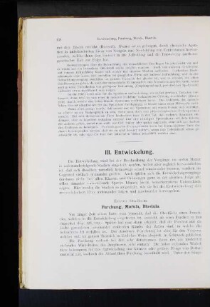 III. Entwickelung.