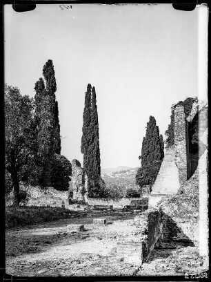 Villa Adriana:
