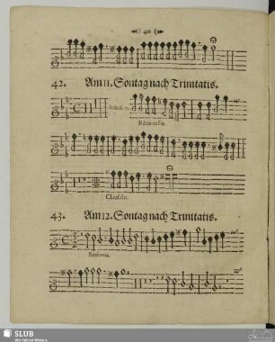 43. Bene omnia fecit