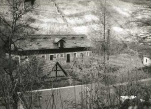 Cossebaude, Talstraße 62. Weingut (1786/1800). Ansicht vom Gegenhang gegen Weinberg