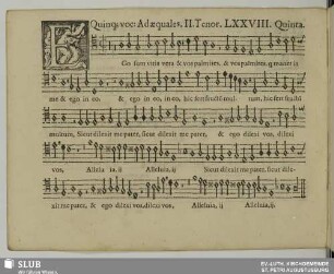 LXXVIII. Ego sum vitis vera