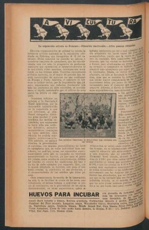 Avicultura : La exposición avícola de Palermo.- Plausible innovación.- Altos precios cotizados