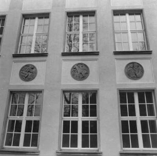 Dresden-Laubegast, Linzer Straße 1. 64. Oberschule (um 1905). Fensterfront mit Tiermedaillons