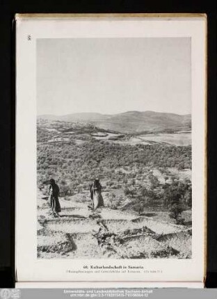 68. Kulturlandschaft in Samaria.