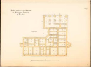 Universität Breslau Botanisches Museum: Grundriss der Fundamente 1:100