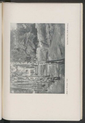 Birken in Wannsee