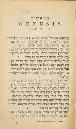 Ḥamiššā ḥûmšê tôrā : medûyyaqîm ʿal ṣad hay-yôtēr ṭôv ʿal pî ham-mesôrā
