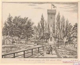 Die Ruine der Alten Veste bei Fürth mit dem Aussichtsturm