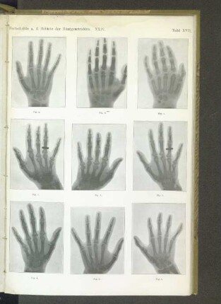 Tafel XVII.