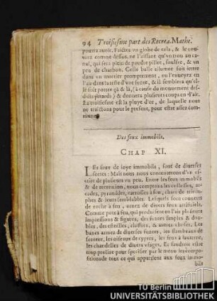 Des feux immobils. Chap. XI.