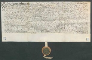Wolf Geier, Schultheiß, und genannte Mitglieder des Gerichts zu Ubstadt beurkunden eine Gültverschreibung des Jakob Beckerholz und seiner Ehefrau Ottilie über 30 Gulden gegenüber Johann Rehm, Kirchenkollektor des Hochstifts Speyer am Bruhrain.