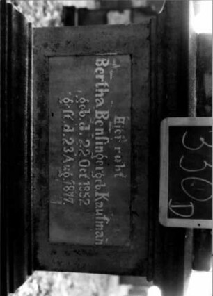 Grabstein 330 (Index: 100111958) Material: Sandstein, weiße Marmorplatte Zustand: verwittert Maße HxBxT: 245x76x46 cm Beschreibung: ädikulaartige Stele mit Säulen, getreppter Sockel, Giebel mit Mittel- und Eckakroteren, rechteckige Schriftplatten Symbolik: Blüten, Ranken / Zahnfries: Grabstein 330D