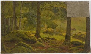Waldinneres
