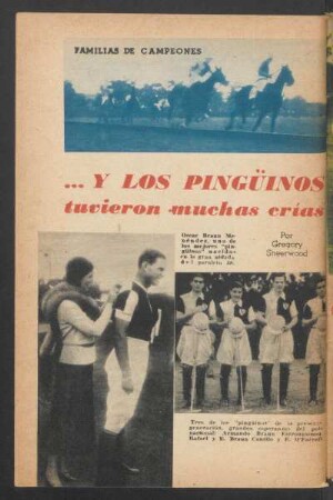 ... y los pingüinos tuvieron muchas crías : Familias de campeones