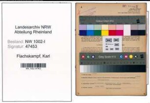 Entnazifizierung Karl Flachskampf, geb. 09.11.1900 (Revisor)