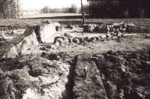 Fundstätten aus der Bronzezeit am Elbe-Seitenkanal
