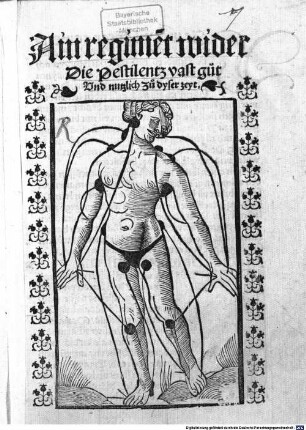 Ain regime[n]t wider Die Pestilentz : vast gut Vnd nutzlich Zu dyser zeyt