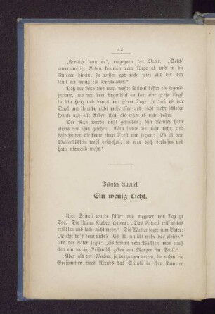 Zehntes Kapitel. Ein wenig Licht.