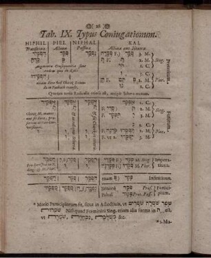 Tab. IX. Typus Coniugationum