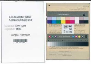 Entnazifizierung Hermann Berger, geb. 22.12.1909 (Buchhalter)