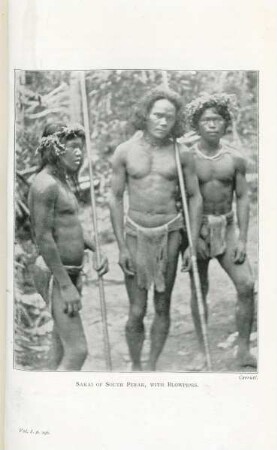Sakai of South Perak, with blowpipes