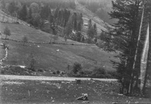 Berglandschaft : Blick auf Waldflächen ann Berghängen und auf einzelnen Baumbestand im Tal auf Wiesengrund, der mit Felsmauern abgetrennt ist