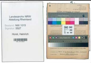 Entnazifizierung Heinrich Van Der Horst , geb. 16.12.1892 (Dachdecker)