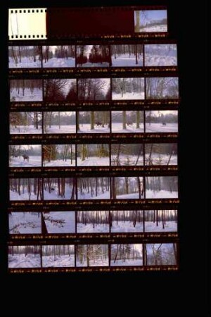 Landesschau-Bilder: Schnee