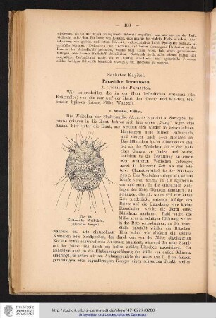 Sechstes Kapitel: Parasitäre Dermatosen