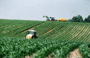 Fotografie: Gülleinjektor, Mais, Geräteträger, Gülleausbringung