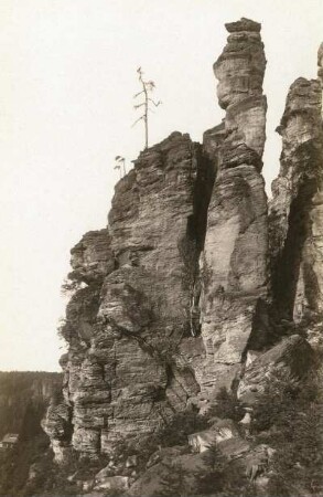Sächsische Schweiz, Bielatal. Glasergrundnadel unweit der Ottomühle. Kreuzschichtung