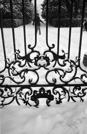 Schnee im Schlossgarten