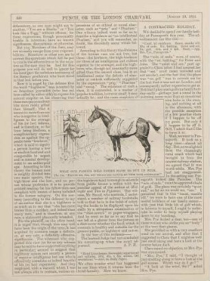 What our famous polo ponies have to put up with