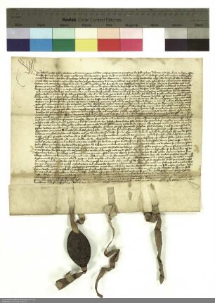 Johann [von Buchenau], Propst von Petersberg, Dechant Eckhard und der Konvent von Petersberg bekunden eine Spende der Barbara Sueberlicher über 100 Gulden für eine wöchentliche Messe auf dem heiligen Kreuz-Altar