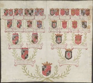 Stammbaum der Nachkommen des Fürsten Maximilian von Hohenzollern-Sigmaringen und der Maria Clara Gräfin von Bergh
