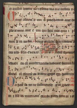 Magdeburger Fragen - Magdeburger Schöffensprüche für Görlitz : Hdschr. 79