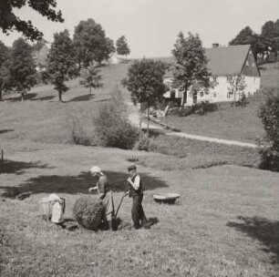 Heuernte : Nassau/Erzgebirge. Bei der Heuernte