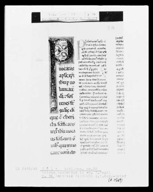 Petrus Lombardus, Commentarius in epistolas Sancti Pauli: Initiale P
