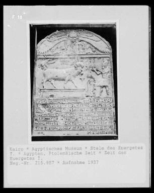 Stele des Euergetes I.
