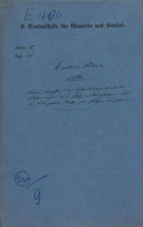 Patent des Bürstenmachers Karl Stotz in Münsingen auf in Leder gefaßte Bürsten zum Putzen von Pferden