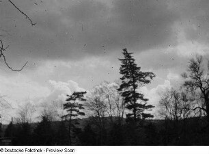 Landschaft