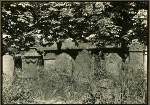 Bei Landau, alter jüdischer Friedhof, Grabsteingruppe, 19. Jh.