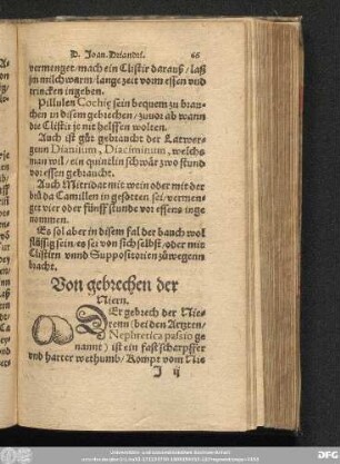 Von gebrechen der Niern.
