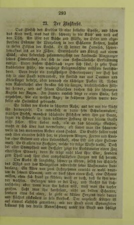 23. Der Flußkrebs