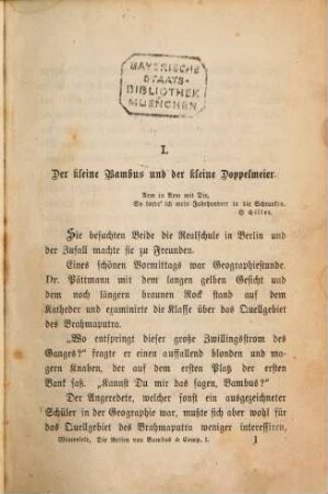 Die Reisen von Bambus [und] Comp. : komischer Roman, 1